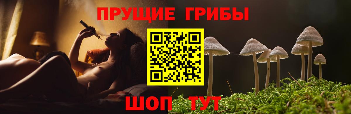 Псилоцибиновые грибы Psilocybe  Вход с VPN  Галлюциногенные грибы Cubensis  сколько стоит  Урюпинск 
